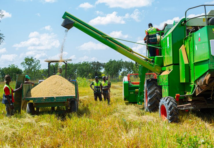 Agriculture ivoirienne : 167 milliards FCFA pour accélérer la transformation du monde rural