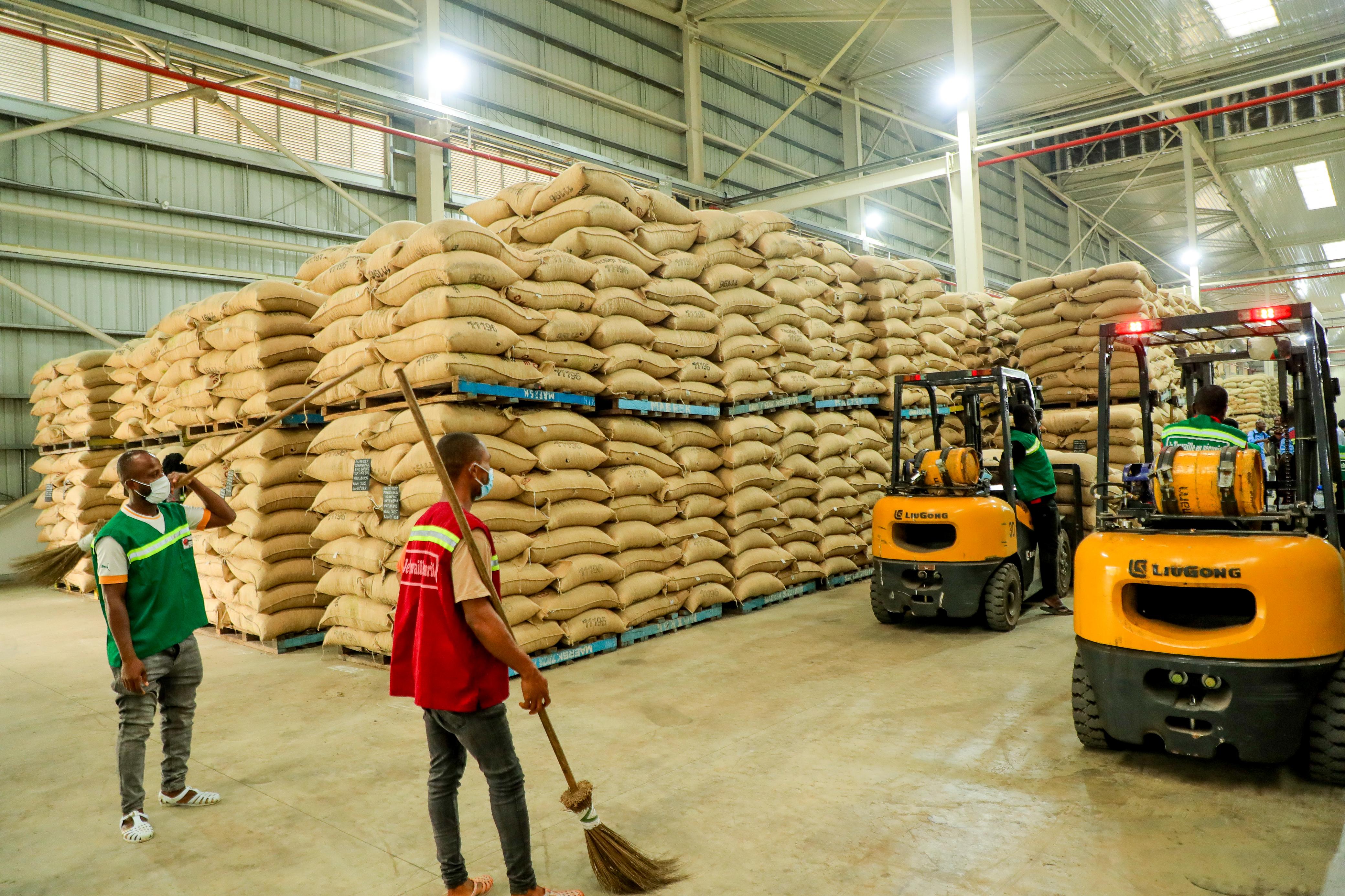 Filière cacao : dialogue renoué, achats relancés, la Côte d’Ivoire évite la crise majeure