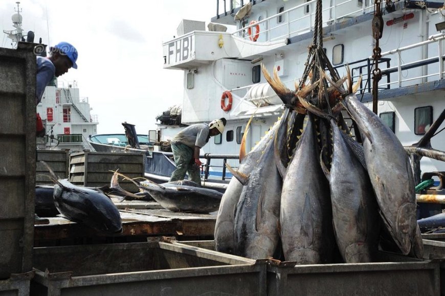 AQUACULTURE & SOUVERAINETÉ ALIMENTAIRE 782 milliards de FCFA d’importations animales : le MIRAH et l’Université de San Pedro scellent une alliance pour ne plus dépendre de l’étranger