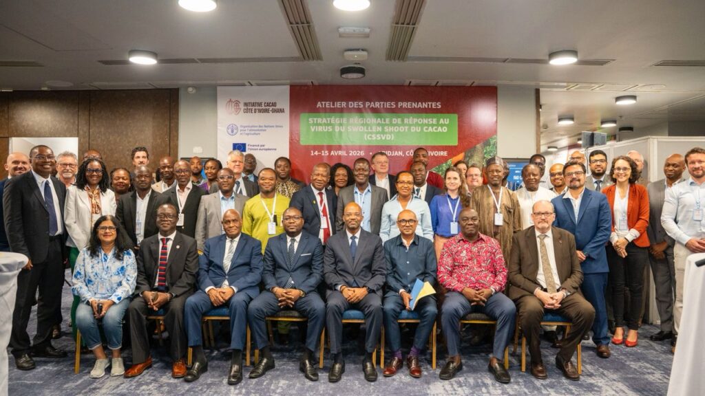 SANTÉ DES CULTURES   LE SWOLLEN SHOOT MENACE L'OR BRUN AFRICAIN : ABIDJAN ET ACCRA LANCENT LEUR CONTRE-OFFENSIVE LA PLUS AMBITIEUSE