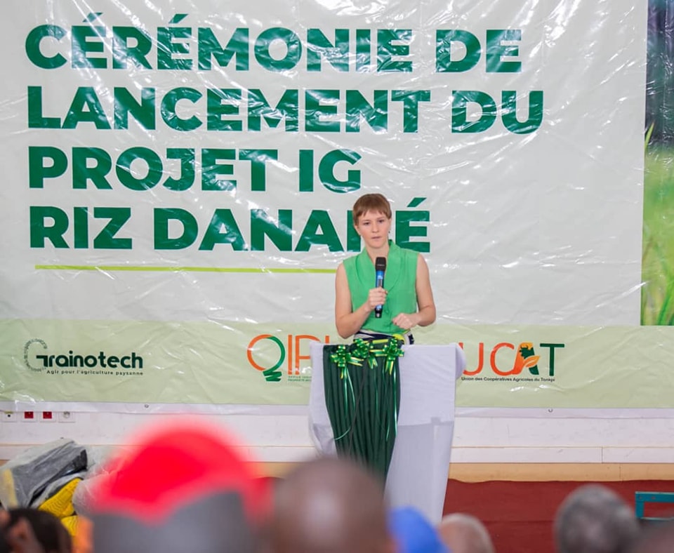 AGRICULTURE & TERROIR   LE RIZ DANANÉ VEUT SA MÉDAILLE D'OR : UN AMBITIEUX PROJET DE LABELLISATION LANCE SA RÉVOLUTION AGRICOLE DANS LE TONKPI