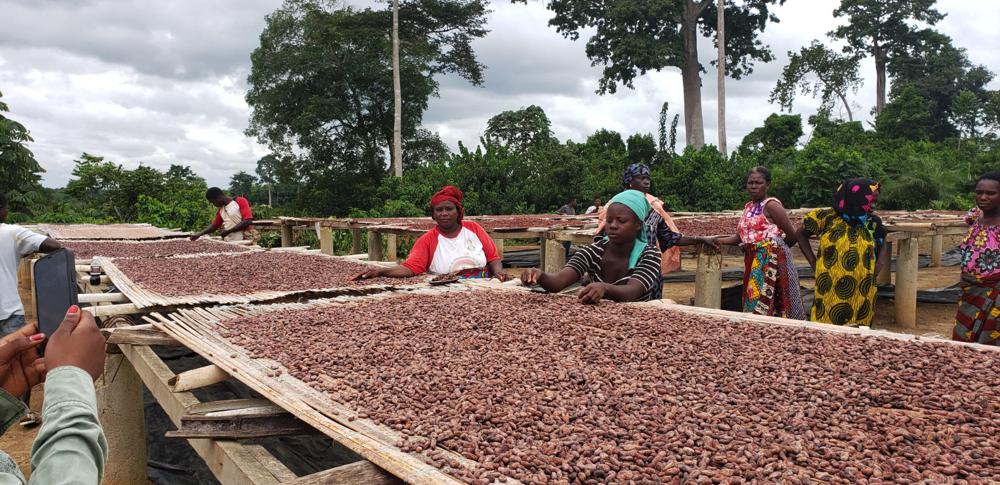 PROTECTION SOCIALE | Vers une assurance-retraite pour les producteurs agricoles ivoiriens