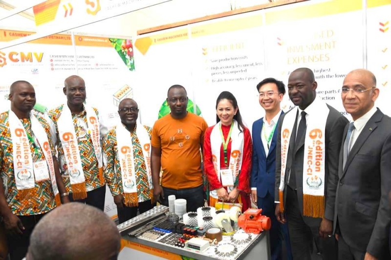 FILIÈRE ANACARDE — MARCHÉS INTERNATIONAUX GUERRE DES NOIX : LA CÔTE D'IVOIRE EXPLOSE LES COMPTEURS AU VIETNAM PENDANT QUE LE GHANA ET LE NIGERIA DÉCROCHENT