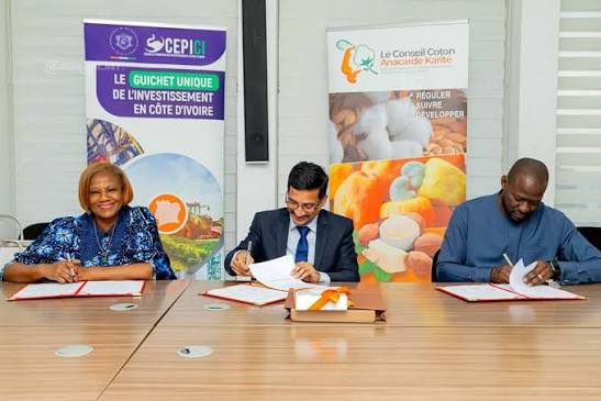 FILIÈRE ANACARDE · INVESTISSEMENT INDUSTRIEL ANACARDE : 75 MILLIONS DE DOLLARS INDIENS SUR LA TABLE POUR TRANSFORMER LES DÉCHETS DE CAJOU EN OR VERT
