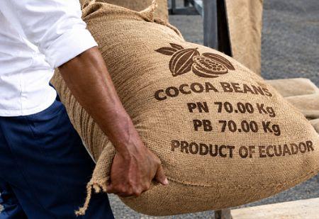 CACAO   Cacao : l’Équateur talonne le Ghana, la fin d’un podium historique ?
